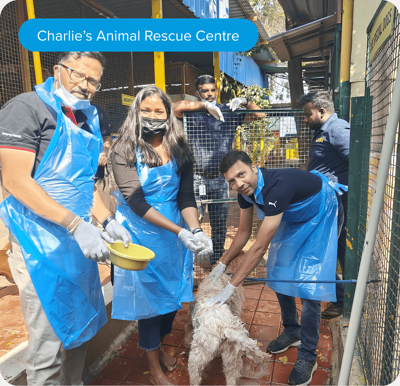 Charlie's animal rescue